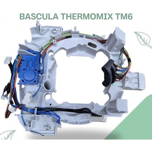 Conjunto Original Módulo de Bascula Thermomix TM6
